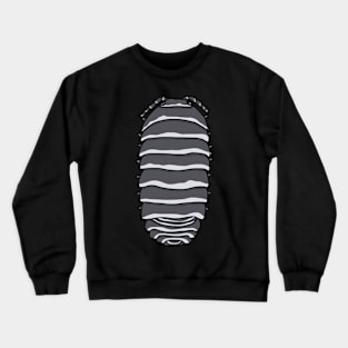 zebra armadillidium species Crewneck Sweatshirt